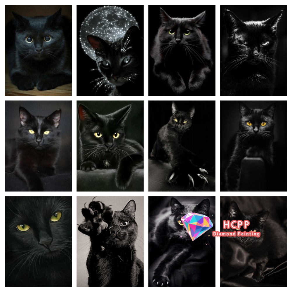 unframe Black Cat Animal Diamo - Resin Craft Kit recensie en prijs