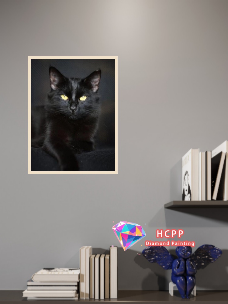 unframe Black Cat Animal Diamo - Resin Craft Kit recensie en prijs